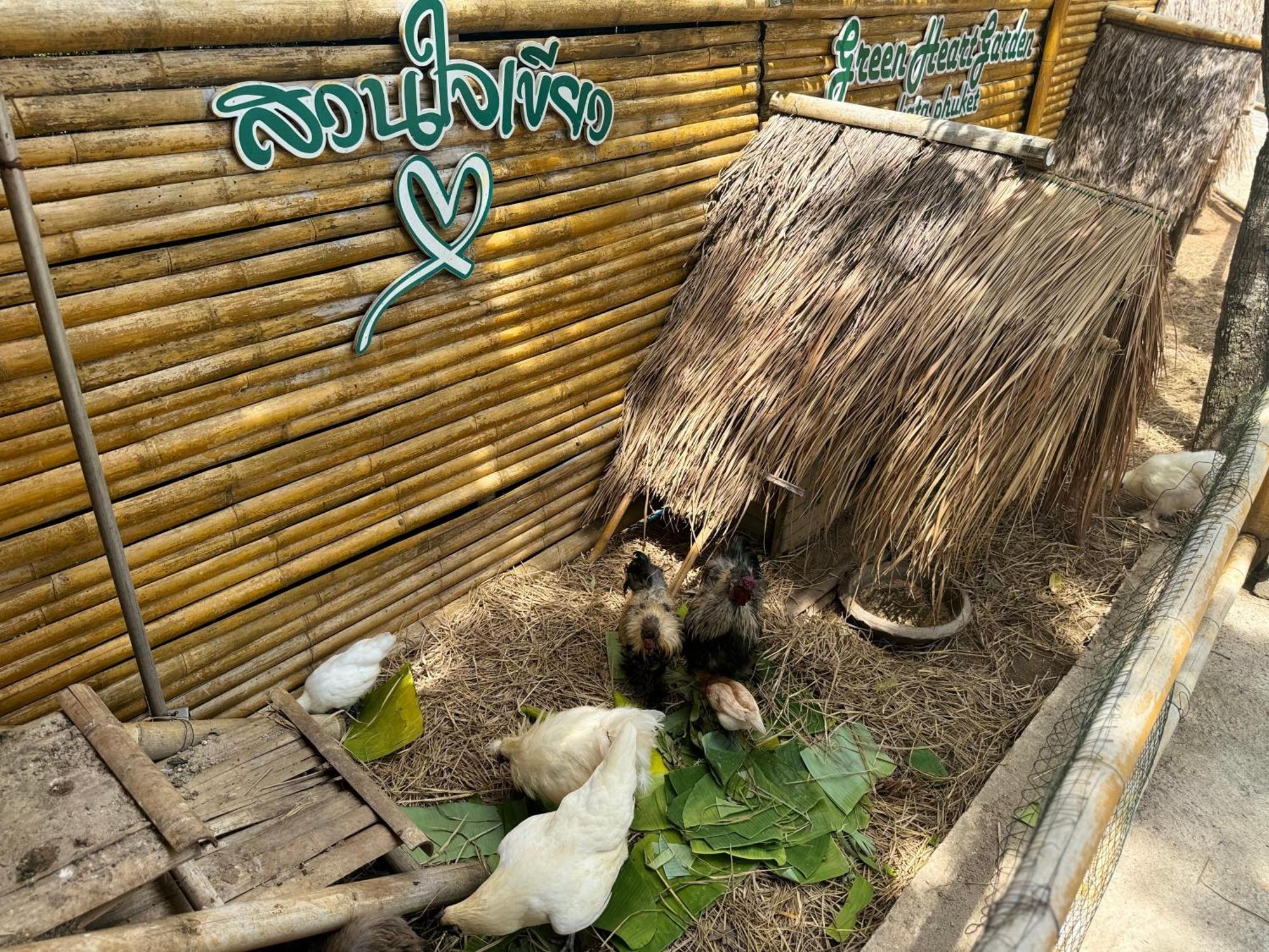 Greenheart Garden View Camp Phuket Kata Beach  Esterno foto
